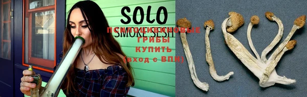 трава Горнозаводск